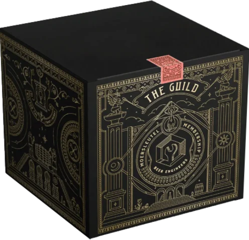 Product image for The Guild &#8211; pay per 2 months