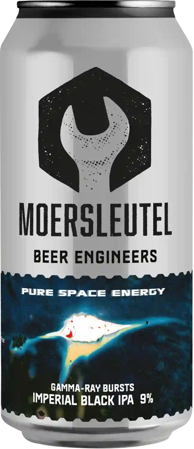 Product image for Gamma-Ray Bursts