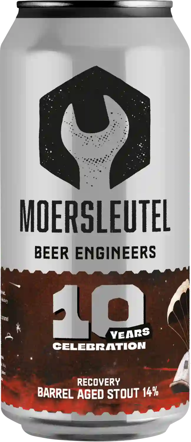 Product image for 10Y Recovery